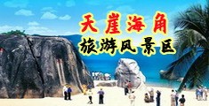 男女日逼免费视频网站海南三亚-天崖海角旅游风景区