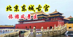 骚逼女人搞逼逼大片中国北京-东城古宫旅游风景区
